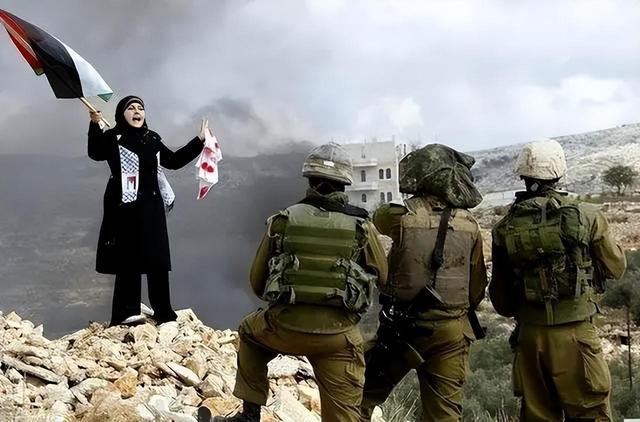 非洲篮球锦标赛进行中，焦点战役紧张激烈的简单介绍