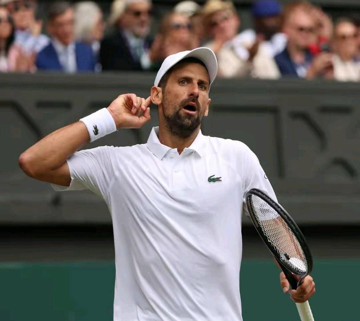 关于戴维斯杯逆转年终总决赛，德约科维奇关键制胜的信息