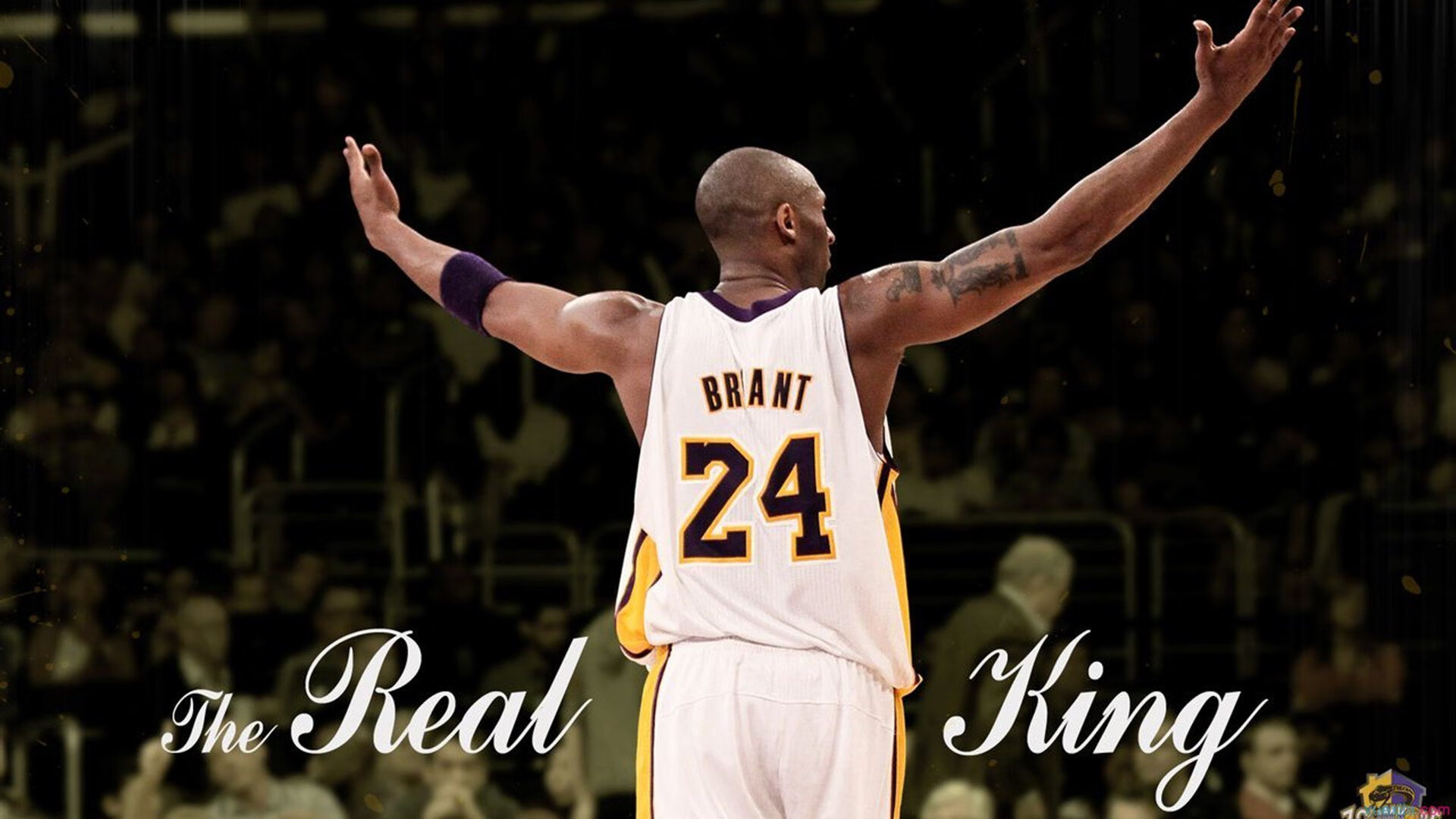 哈利伯顿教科书级掌控，尼克斯铁血晋级映衬勇士困局